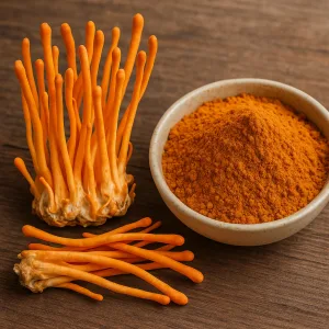 Cordyceps militaris mushroom extract