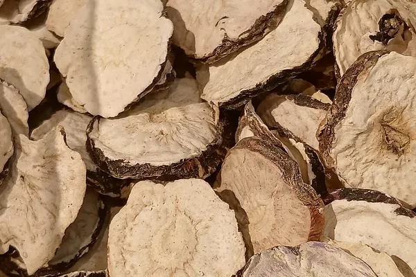 Dried slices of maca root, Lepidium meyenii