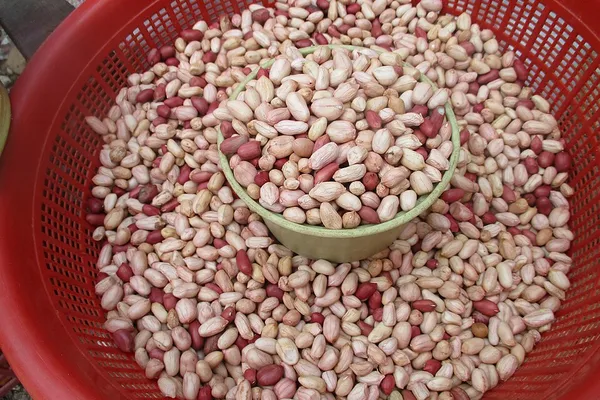 Shelled raw peanuts, a common food source of niacin (vitamin B3)
