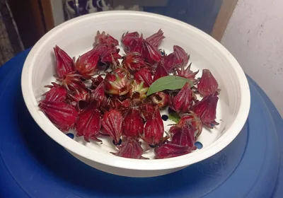 Dried red hibiscus (roselle) calyces in a white bowl