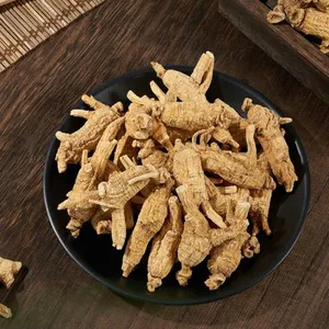 Fresh ginseng roots