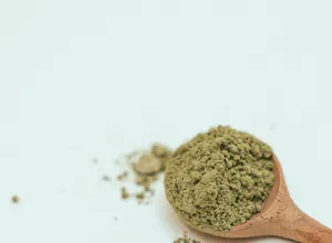 Green tea extract powder on a spoon
